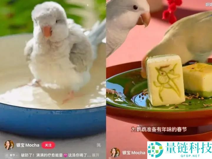 女孩们捧红的“鸟鸟教”,催熟百亿新市场