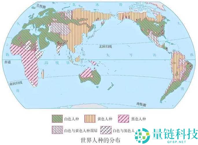 亚洲、欧洲、美洲人口分布对比：地区差异与发展趋势
