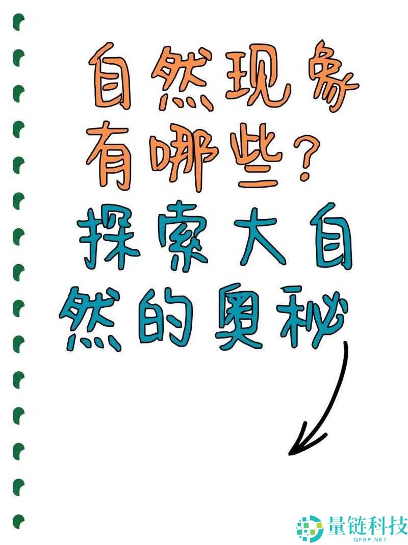 大 BB BWBBBWBBBW40 ：探索奇妙世界的奥秘