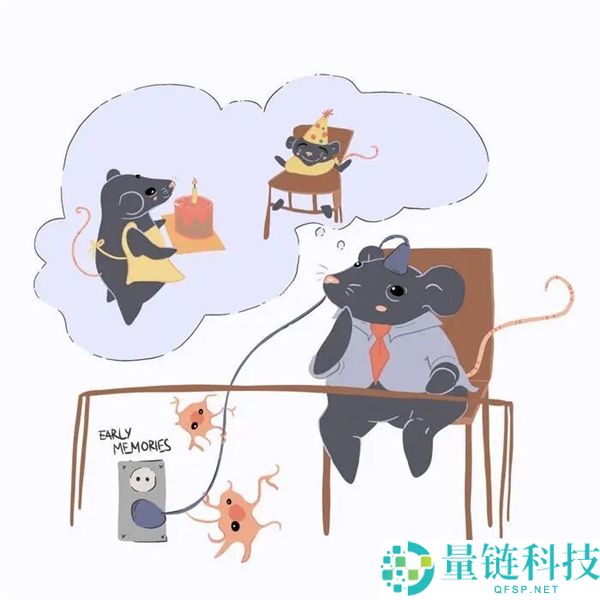 你小时辰的记忆真的被大脑删除了吗？谜底出乎料想