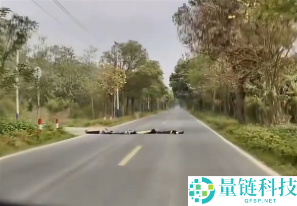 广州4名儿童趟在马路上排成一列cos减速带吓坏司机 网友吐槽：外地回应