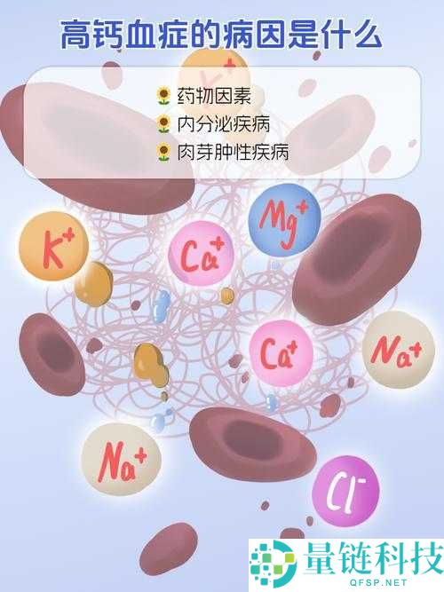 2022GGY 钙同的独特魅力与价值探讨