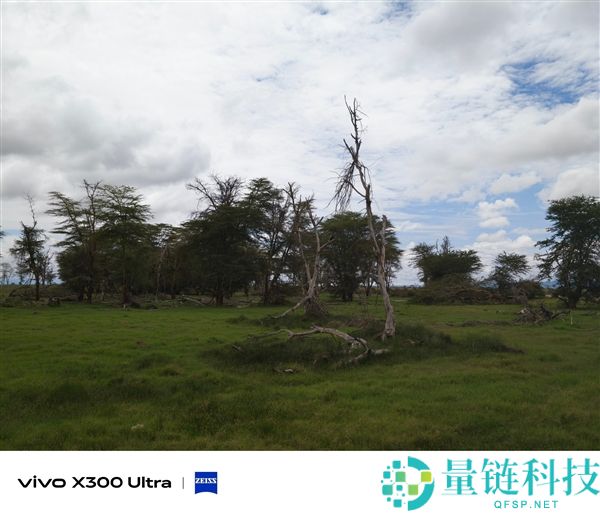 vivo全新增距镜揭晓：大炮400等效400mm,行业最高倍率