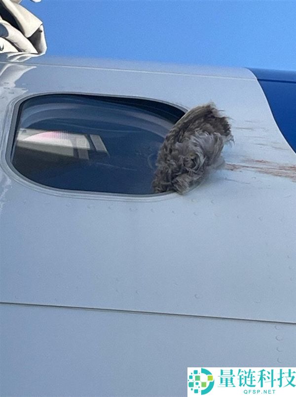 波音737客机遭鸟击 客舱玻璃开裂,现场画面发布