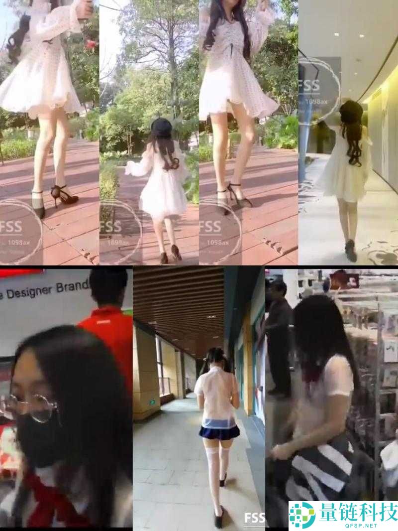 fss 外卖钥匙任务：一项具有重要意义和挑战性的任务