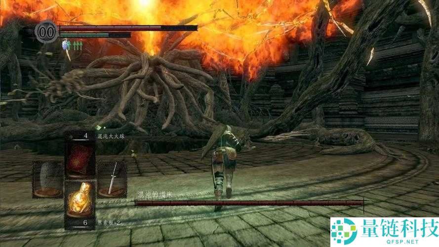 黑暗之魂重制版，深度攻略，混沌废都伊札里斯全要素收集地图指南