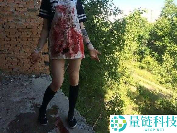 缅甸北部血腥 2024 黑网：揭秘网络背后的罪恶与黑暗