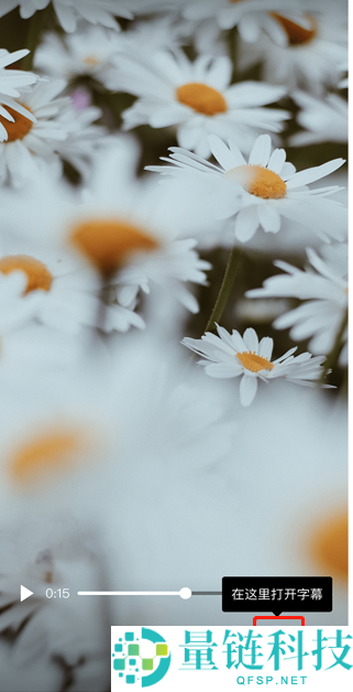 QQ智能视频字幕怎么开启？QQ智能视频字幕开启方法