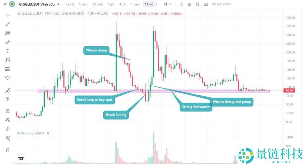 什么是止损狩猎?一文带你看懂巨鲸布局与避坑策略全流程