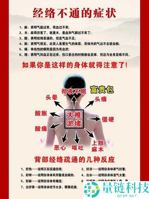 老中医：以吸咪头排毒，真的有效吗？