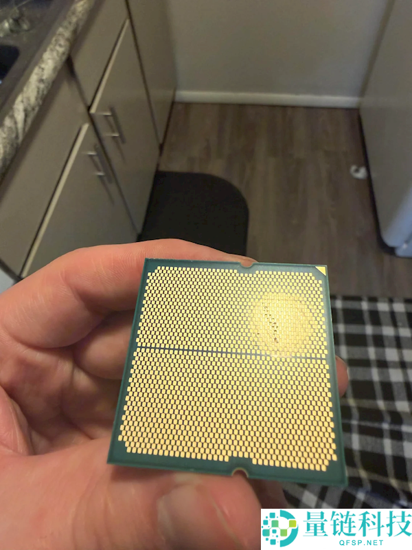 第一次见：锐龙7 7700X竟然被狗吃了,