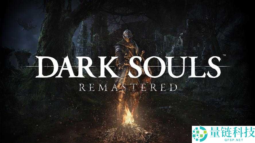 黑暗之魂重制版未加密版无法进入游戏？详细破解版进入方法与问题解决策略