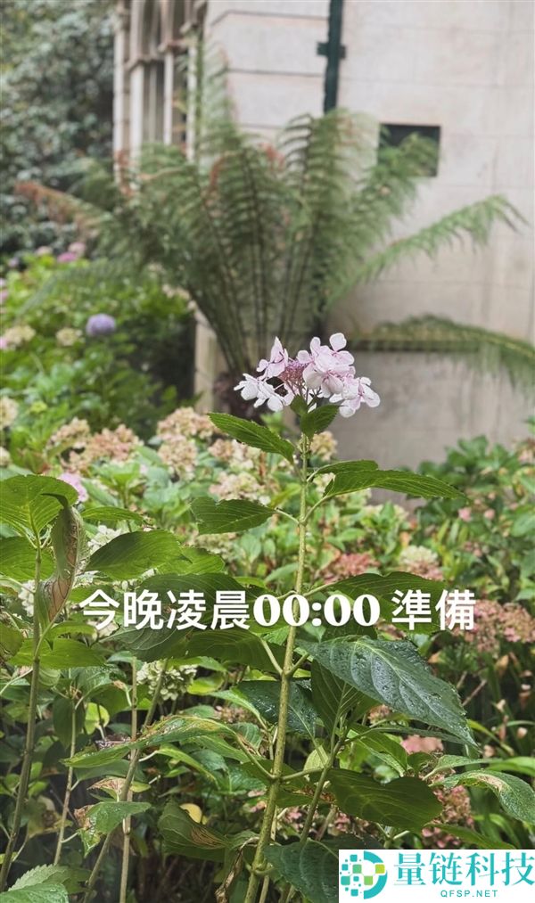 新专辑终究来了,周杰伦发文：今晚0点筹办