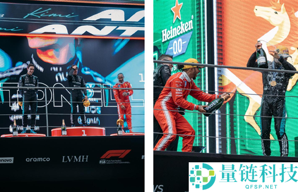 乱成一锅粥的F1上海站 真的太美观了,