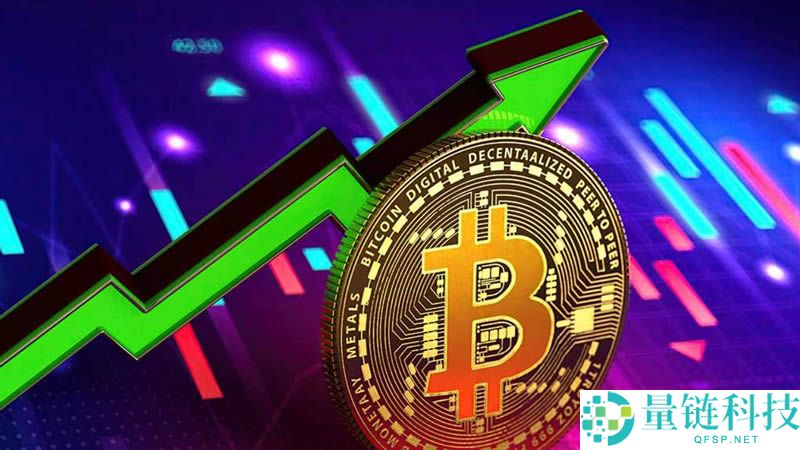 回顾2025年币圈牛市资金流向与投资机遇全揭秘