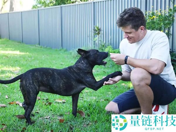 “问两句AI” 就能开辟抗癌疫苗?实情并非如斯,