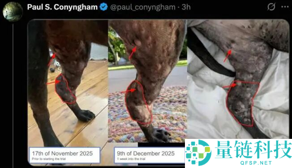 “问两句AI” 就能开辟抗癌疫苗?实情并非如斯,