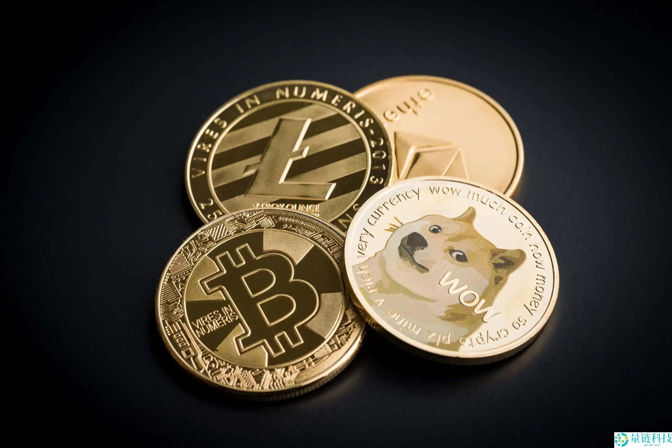 什么是狗狗币?值得投资吗?如何购买狗狗币?未来如何?