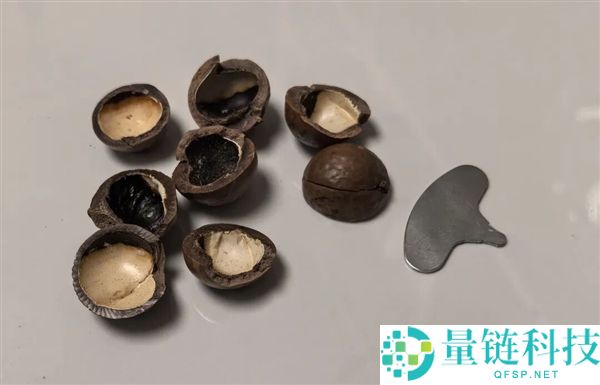 这类坚果被誉为“固态橄榄油”，含油 70% 却值得吃