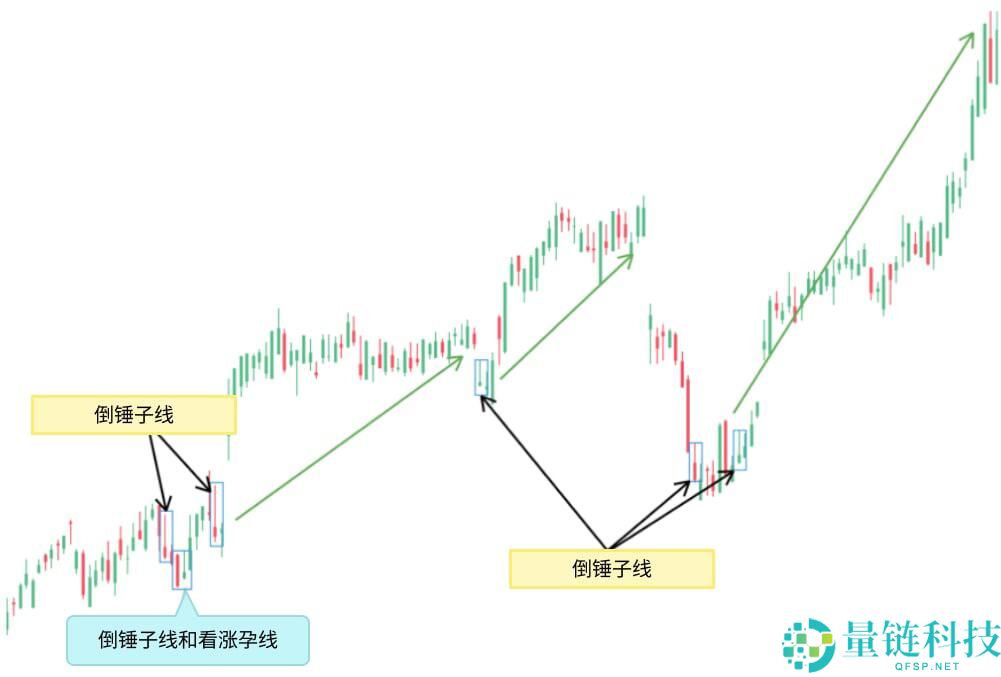 什么是烛台图表?全面解析烛台形态及其在交易中的运用
