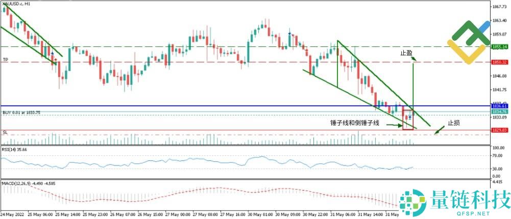 什么是烛台图表?全面解析烛台形态及其在交易中的运用