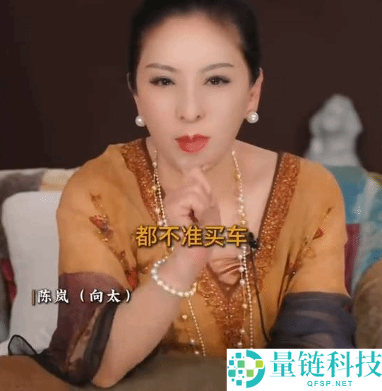 向太犀利言论：存款不足 200 万别买车，车只是代步工具！