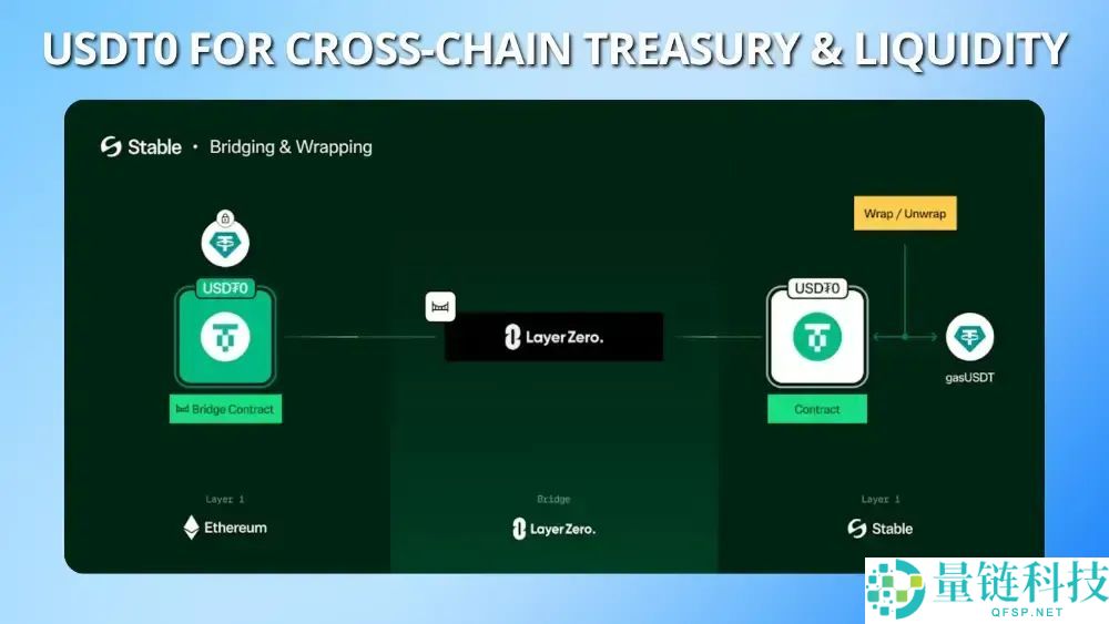StableChain是什么?运作机制、USDT应用、代币经济与风险评估