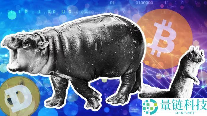 如何选择2026年最佳的Memecoin钱包？2026年最佳Memecoin钱包盘点