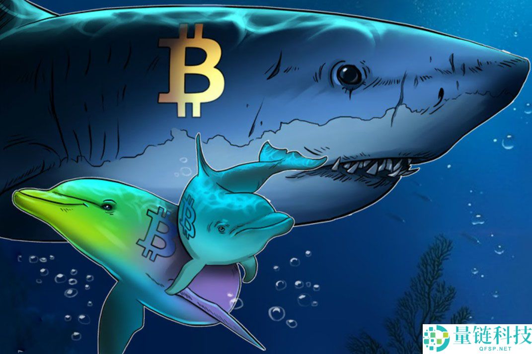 一文了解比特币空头以13年来最快速度累积，BTC下跌30%