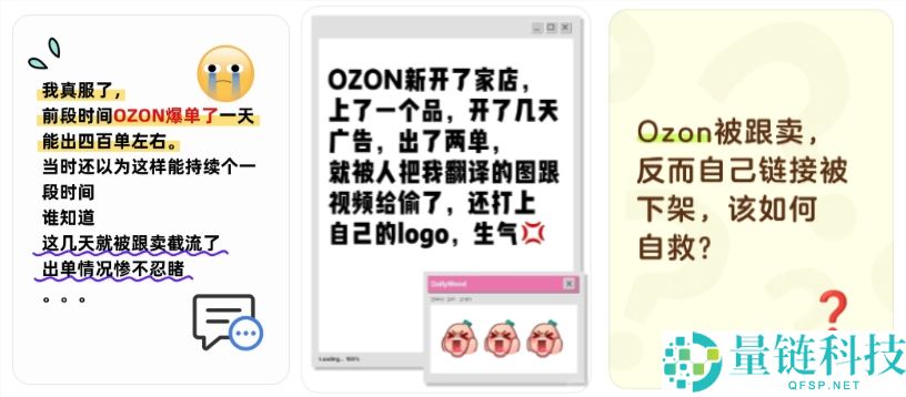 Ozon 防跟卖全攻略：高手 ERP 揭秘预防产品被跟卖的终极办法