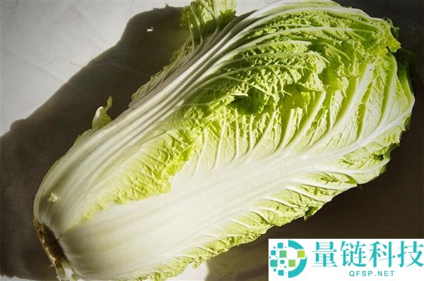 食斋不等于低热量！你以为的素菜可能满是油脂