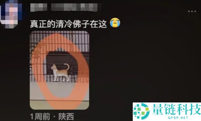 从禅意行脚到魔性蹦迪：一句“腾跃不是罪恶”如何引爆 11 亿传播？