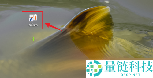 oCam(屏幕录像软件)怎么设置录制包含鼠标?oCam(屏幕录像软件)设置录制包含鼠标教程