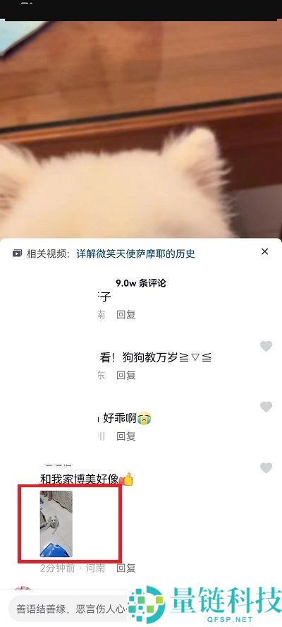 抖音评论区表情包怎么保存到相册?抖音评论区表情包保存到相册教程