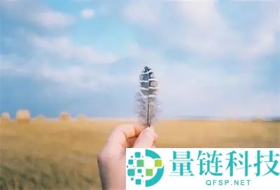 微信共同回忆文案有哪些？微信共同回忆文案介绍