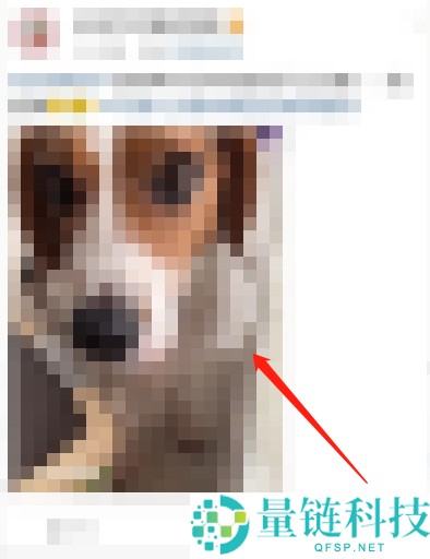 微博怎么关闭动态视频封面？微博关闭动态视频封面教程