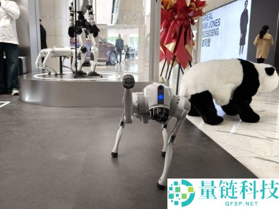 宇树科技首家直营店开业：人形机器人售价超 10 万，高管回应无折扣且价格亲民