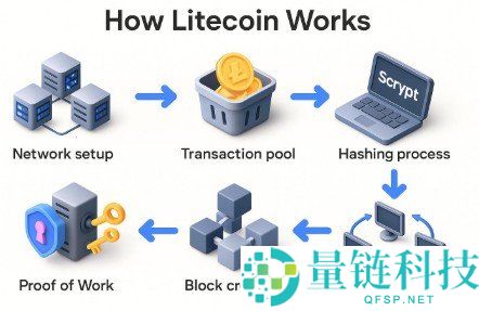 莱特币（LTC）是什么？深度解析起源、发展历程与核心价值