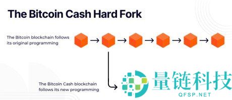 比特币现金（BCH）是什么？2025 年新手入门与投资全指南