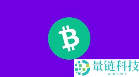 比特币现金（BCH）是什么？2025 年新手入门与投资全指南