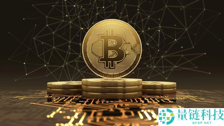 2025 年比特币协议层全景复盘：深度解析与未来趋势