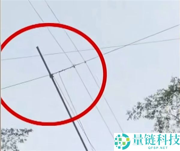 男子瀑布秋千坠亡原因查明：开关提前松开致意外