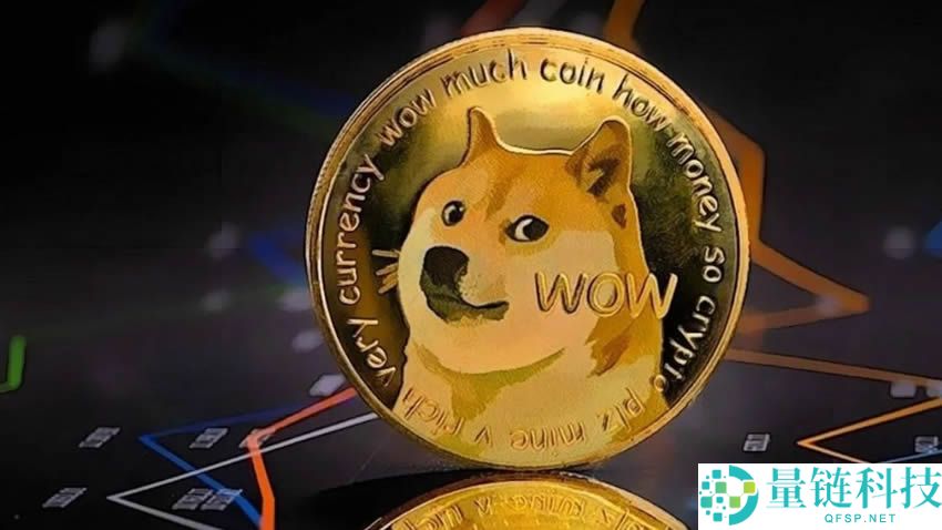 狗狗币 (DOGE) 与柴犬币 (SHIB) 深度对比：哪个更适合长期持有投资？