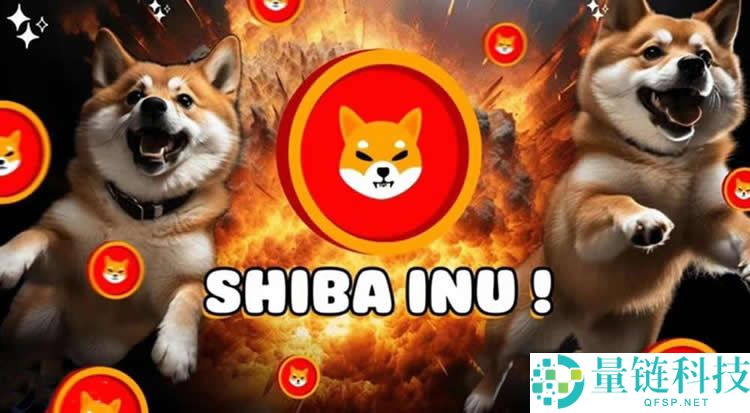 狗狗币 (DOGE) 与柴犬币 (SHIB) 深度对比：哪个更适合长期持有投资？