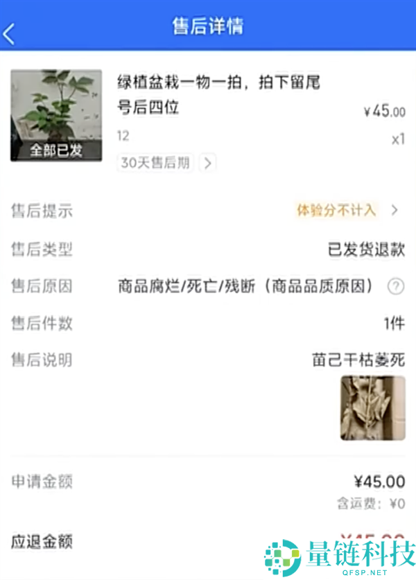 新店首单遇 AI 改图白嫖？平台裁定支持买家，老板心凉退店