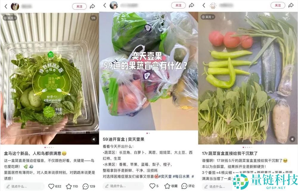 小红书蔬菜盲盒爆火：生鲜电商的新解法与流量密码