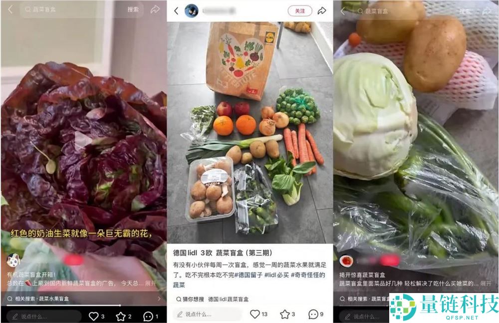 小红书蔬菜盲盒爆火：生鲜电商的新解法与流量密码