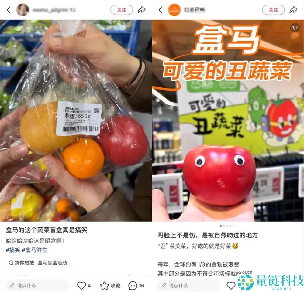小红书蔬菜盲盒爆火：生鲜电商的新解法与流量密码