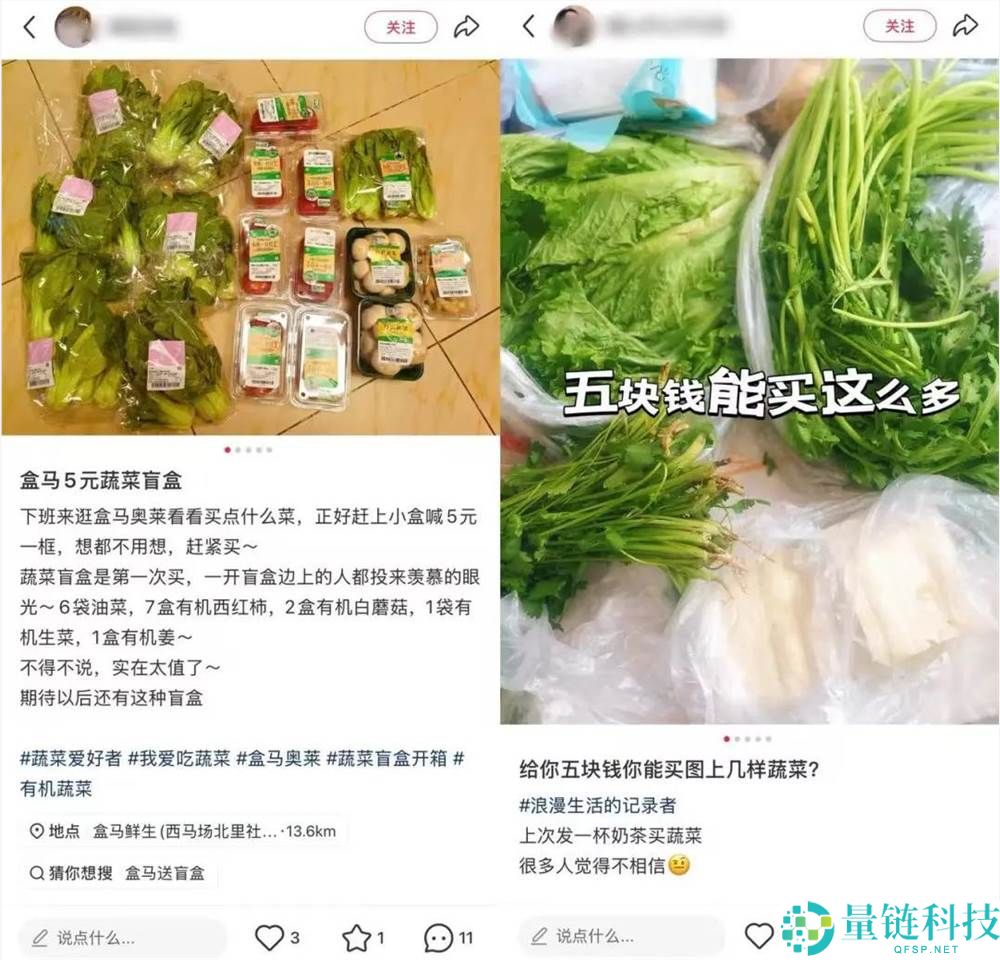 小红书蔬菜盲盒爆火：生鲜电商的新解法与流量密码