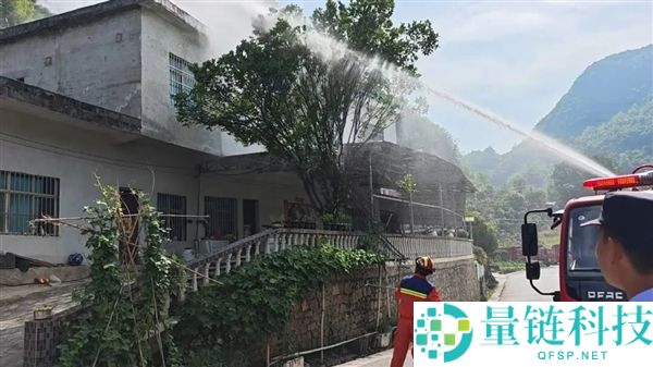 3 米长手臂粗眼镜王蛇盘踞树梢，消防水炮成功制服